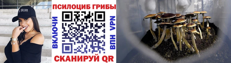 Галлюциногенные грибы мицелий Южно-Сухокумск