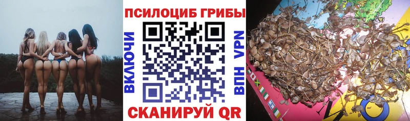 Псилоцибиновые грибы мицелий Южно-Сухокумск