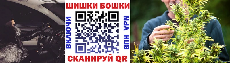 Бошки Шишки семена  Южно-Сухокумск 